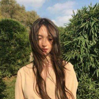 大航海时代7破解版下载