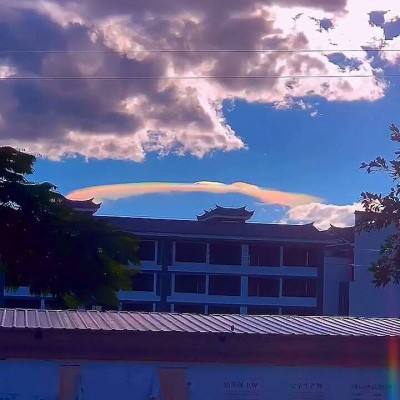 fluvsies手游下载