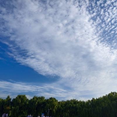 我在江湖之枕上仙手机版下载