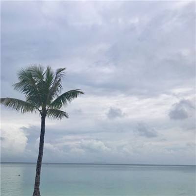 梦想三国之最终之战九游官方下载