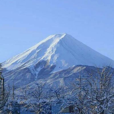 融合战争游戏下载